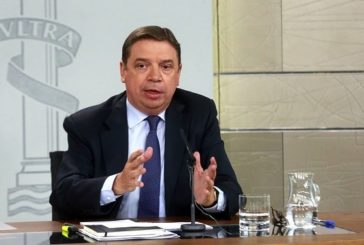 El Gobierno facilitará la contratación de hasta 80.000 parados e inmigrantes para recoger las cosechas
