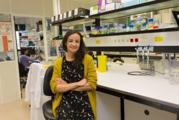 Investigadores del CIMA descubren un gen potenciador del cáncer pulmonar más frecuente en España