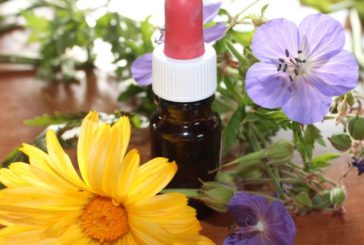 Nuevas tendencias en medicina natural