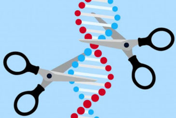 Investigadores del CSIC usarán la edición genética para destruir el corazón del coronavirus