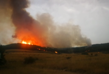 Incendio en Gazolaz