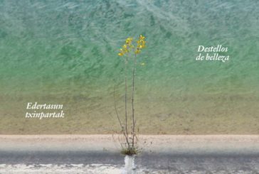 AGENDA: 5 de septiembre, en Estella, comienza 51ª edición: Semana de Música Antigua de Estella