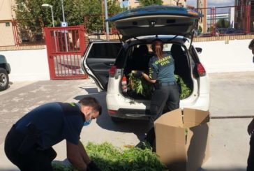 Incautados 9 kg de cogollos de marihuana en Pamplona