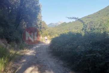 UPN pide una mayor implicación del Gobierno en el Camino de Santiago en Navarra