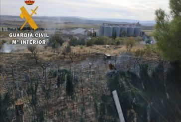 3 hectáreas de monte bajo calcinadas en Los Arcos (Navarra)