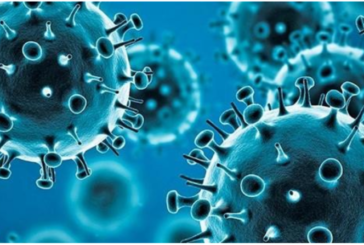 Científicos descubren un potente anticuerpo contra el coronavirus