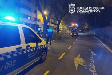 Las rachas de viento dejan varios daños materiales en Pamplona