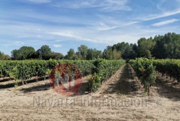 Navarra consolida su Ruta del Vino con el reconocimiento nacional a su apuesta por el enoturismo