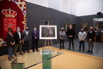 El Parlamento de Navarra adquiere una fotografía de Carlos Cánovas para su colección de obras de arte