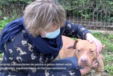 Regalar animales es regalar responsabilidades para toda la familia
