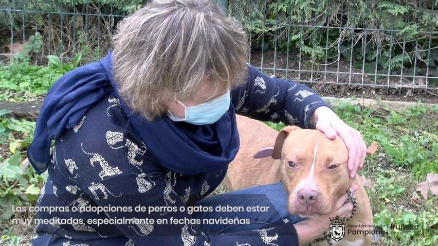 Regalar animales es regalar responsabilidades para toda la familia