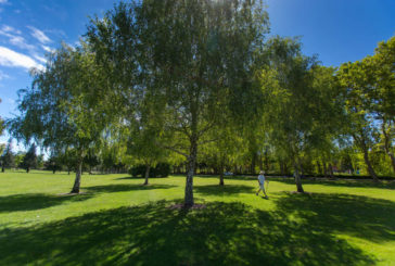 Premio People’s Choice de la Green Flag: El campus de la Universidad de Navarra entre los 10 parques favoritos del mundo