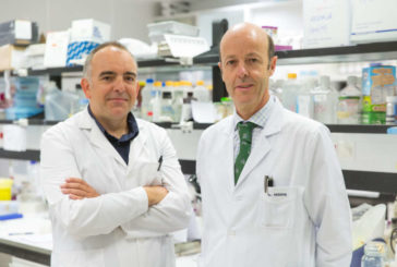Logran revertir la pérdida ósea asociada al mieloma múltiple y reducir su carga tumoral en ratones
