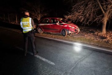 Accidente al tratar de esquivar un animal en Lerín (Navarra)