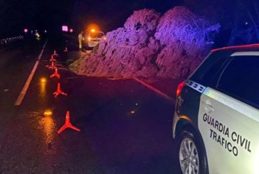 Caídas de árboles en la vía a causa de la lluvia y viento
