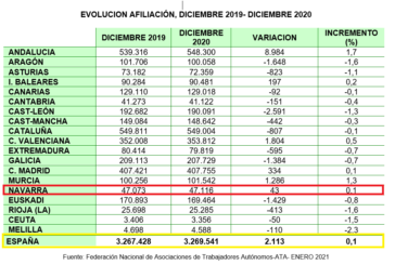 Navarra una de las comunidades en las que menos crecen los autónomos (0,1%) en 2020