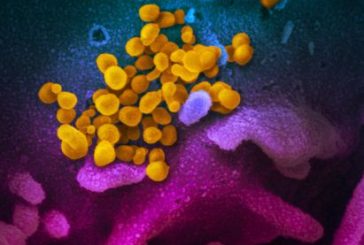 Detectados en España 6 casos de la variante californiana del coronavirus, capaz de evadir anticuerpos