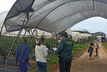 Investigado por simulación de delito en la Merindad de Tudela