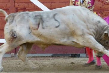 Tafalla (Navarra): Los de La Ruiza merecían más