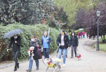 Caminata solidaria con mascotas en Madrid para cuidar la salud cardiovascular