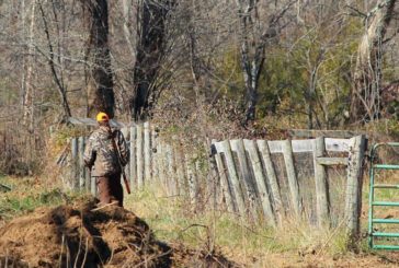 Se anula el artículo de la Orden Foral de caza que limitaba la utilización de armas por parte de menores