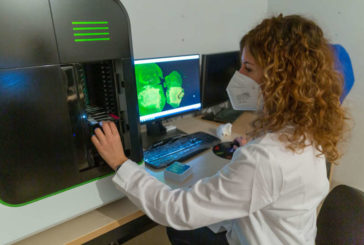 La Universidad de Navarra primera en publicaciones científicas, según el informe CYD