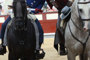 Triunfo grande de Guillermo Hermoso de Mendoza en Las Ventas