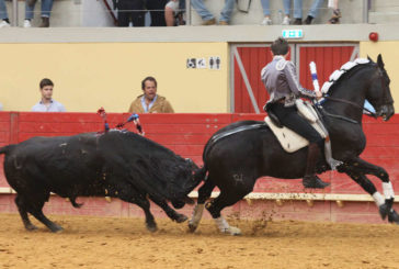Triunfo de Hermoso de Mendoza en Évora