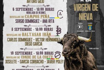 Buena Feria en Peralta