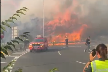 El Gobierno de Navarra homologa 20 planes contra incendios