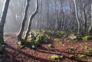 Trabajos de mantenimiento y recuperación de senderos en Navarra en 2022