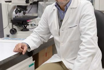 Un estudio identifica bacterias para prevenir la resistencia al antibiótico