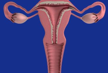Denuncian la paralización en la detección precoz de cáncer de cuello uterino