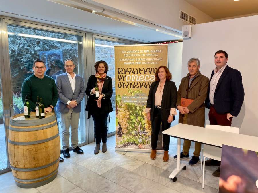 Navarra recupera una variedad de uva antigua única