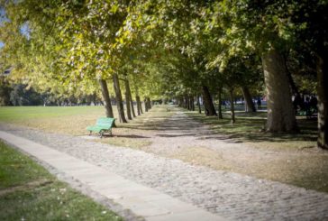 Más de 1.700 suscritos en Pamplona al sistema de información sobre el polen