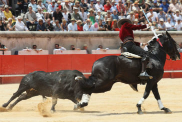 Rabo y 5 orejas para Guillermo Hermoso de Mendoza en Nimes