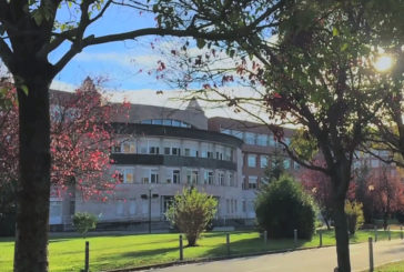 Primeros cursos de verano de la UPNA