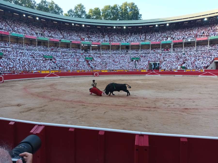 Mejor toro, Forajido, Victoriano del Río, lidiado por Roca; corrida, Jandilla