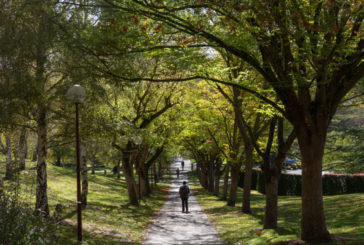El campus de la Universidad de Navarra, de nuevo reconocido con el premio internacional Green Flag