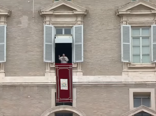 El Papa: La santidad no es inalcanzable, es un don ofrecido para una vida feliz