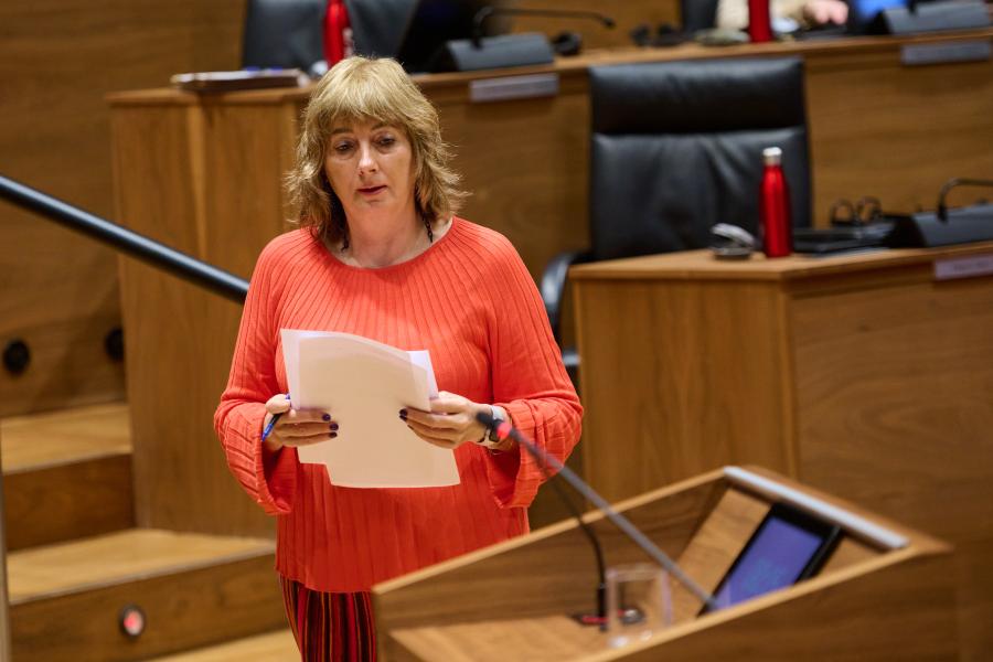 El Gobierno de Navarra dice que avanzará en el II Plan Estratégico de Euskera en respuesta a Bildu