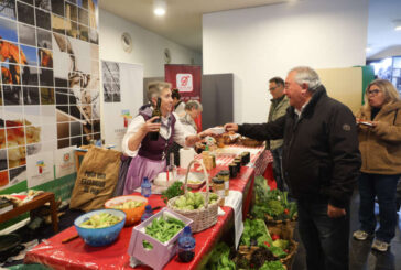 Navarra se posiciona como un destino atractivo a nivel internacional