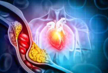 Los 6 bulos más habituales sobre el colesterol y la salud cardiovascular