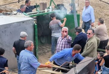 Herradero en la ganadería Pincha de Baigorri