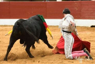 El navarro Bruno Martínez, triunfador en la importante Vic-Fezensac