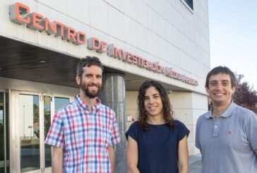 Inteligencia artificial para entender la actividad  de las funciones moleculares