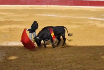 El navarro Bruno Martínez, triunfador y puerta grande en Huesca