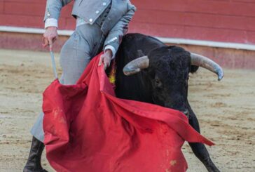 Importante actuación del navarro Bruno Martínez en la plaza de Valencia