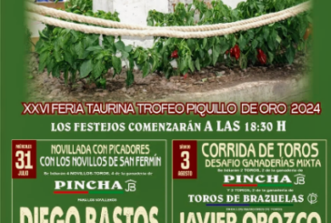 Notables cambios en la feria de Lodosa