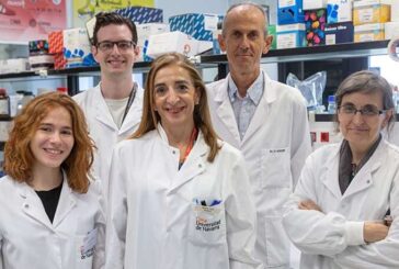 Encuentran microproteínas en los tumores que permitirán crear vacunas contra el cáncer